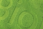 hochtief-flor-(klein)